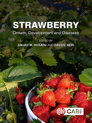 cover image of Strawberry